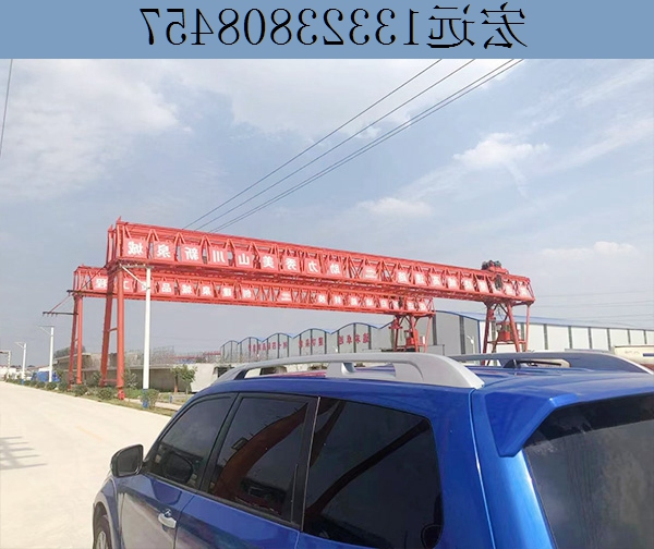 花架式龙门吊
